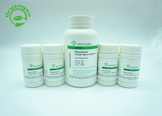 A albumina de soro humana de recombinação TEM é estruturalmente e bioquimicamente equivalente ao pHSA