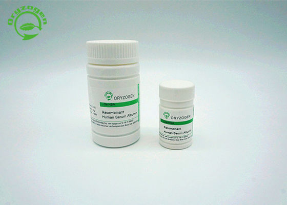 A albumina de soro humana de recombinação TEM é estruturalmente e bioquimicamente equivalente ao pHSA