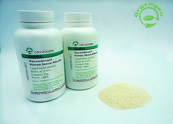 A pureza de 99% de recombinação TEM o rHSA 66.5kD para reagentes biológicos industriais