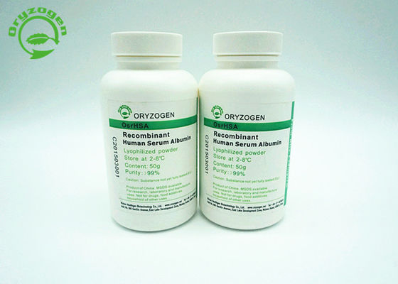 A albumina humana de recombinação TEM funções equivalentemente ao pHSA em termos da promoção do crescimento da pilha