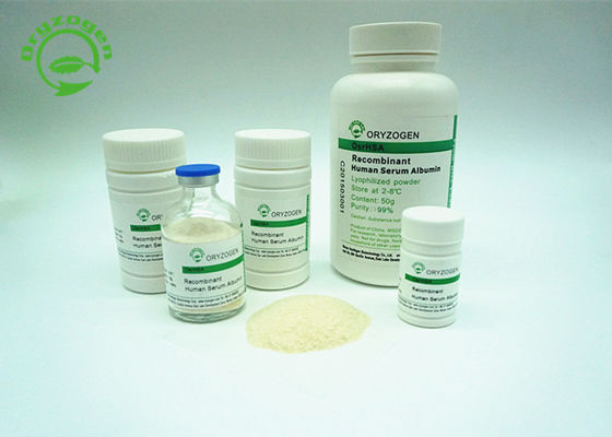 A albumina de soro de recombinação da pureza mais de 99% TEM fora branco para iluminar o pó bege da cor