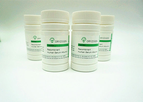 A albumina de soro de recombinação da pureza de 99% liofilizou a baixa endotoxina do pó