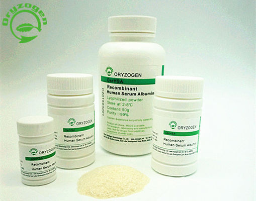 A albumina de soro de recombinação da pureza de 99% liofilizou a baixa endotoxina do pó