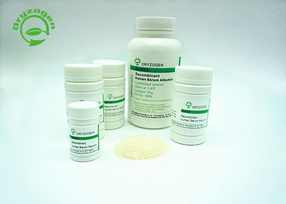 Oryzogen de recombinação TEM da grão do arroz tem a boa consistência 70024-90-7 do grupo