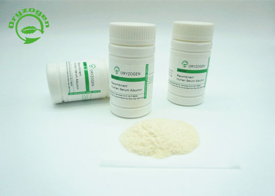 Oryzogen de recombinação TEM da grão do arroz tem a boa consistência 70024-90-7 do grupo