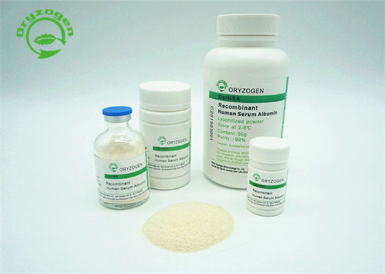 Pó liofilizado HYC002M01 de Oryzogen albumina humana de recombinação