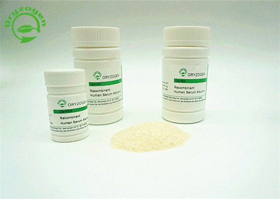 Promova a produção que do anticorpo a grão humana de recombinação do arroz da albumina derivou o peso molecular 66,5 KDa