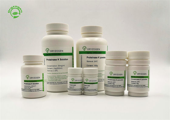 Pó alto da protease K da bioatividade para a purificação do ADN e do RNA