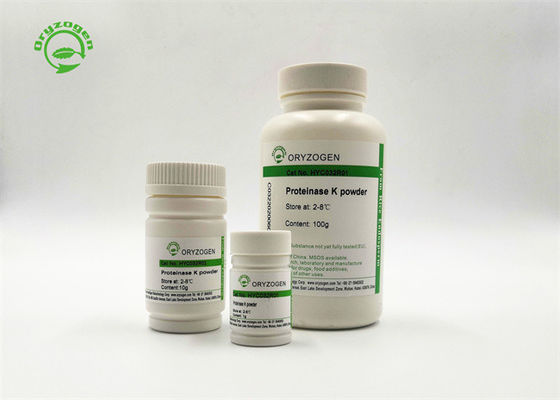 A protease de recombinação K pulveriza o tamanho 100g da protease k da pureza alta da categoria da biologia molecular