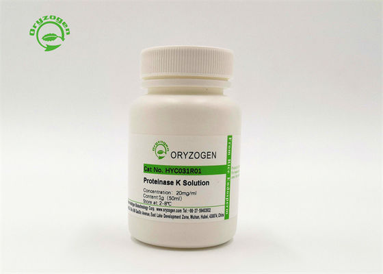 Categoria da biologia molecular da protease K Cas Number 39450-01-6 de ProK do fabricante direto