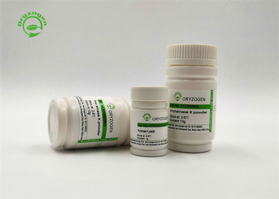29kD solução conservada em estoque de recombinação 20mg/ml da protease K para a extração automática