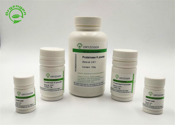 A protease K de CAS 39450-01-6 liofilizada pulveriza o rProK remove o DNase e o RNase