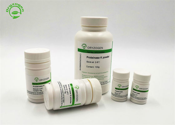 Fonte de maioria 39450-01-6 da protease K da enzima da purificação do ADN &amp; do RNA