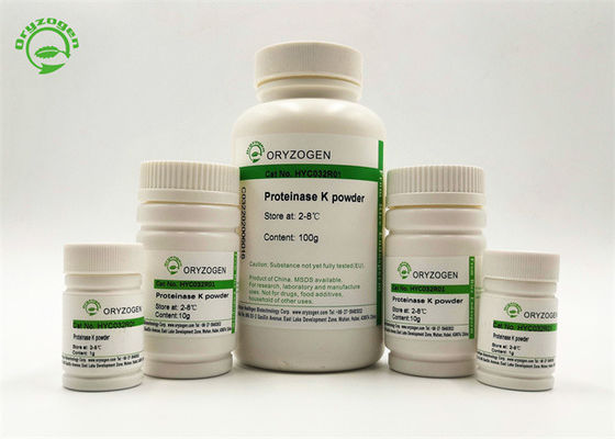 Pureza alta de recombinação da protease K do álbum de Engyodontium 50-100 µg/ML
