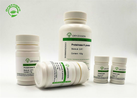 A categoria de recombinação do PCR da protease K de Oryzogen 29kDa liofilizou o pó de Pichia Pastoris