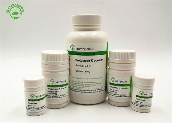 Protease de recombinação K da bioatividade alta para a extração Genomic do ADN