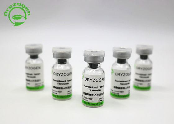 Agente de revestimento In Cell Culture Fibronectin de recombinação fora do pó liofilizado branco OsrhFN