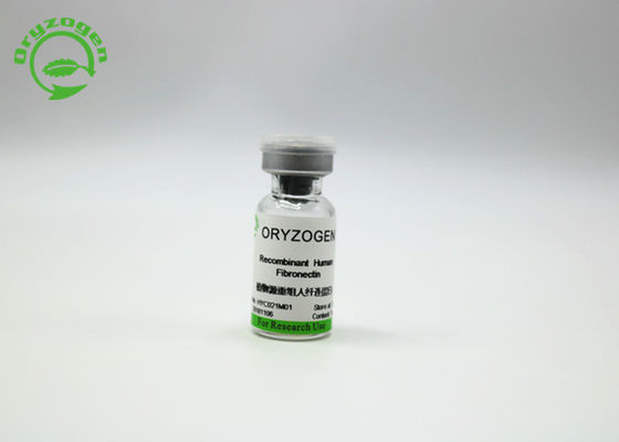 Oryzogen Fibronectin de recombinação aumenta o desempenho 206kD da cultura celular