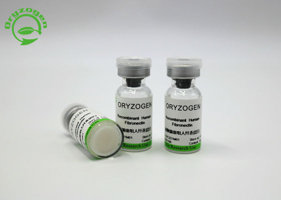 Pureza alta Fibronectin de recombinação FN de 220 KDa para o meio de cultura celular HYC021M01