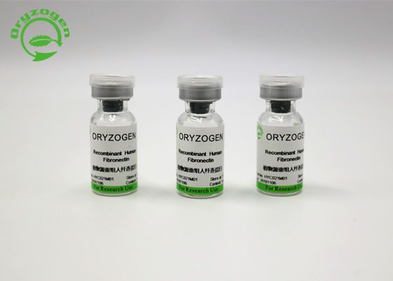 Pureza alta livre componente animal Fibronectin de recombinação FN do Oryza Sativa