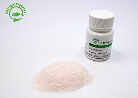 Proteína de recombinação alta da pureza 14.7kD do Lysozyme de recombinação livre animal