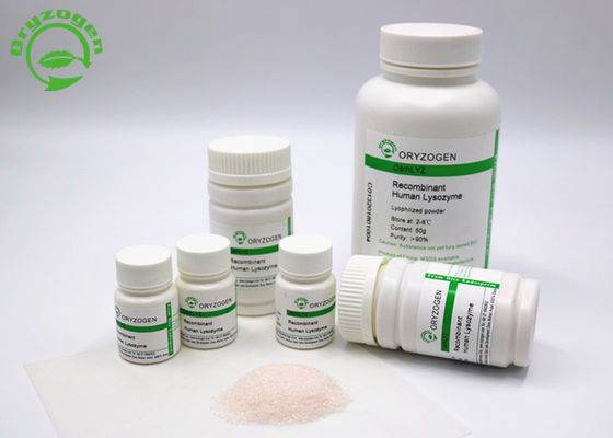 O pó de recombinação do Lysozyme de Oryzogen da plataforma do arroz aumenta fonte CAS No 9001-63-2