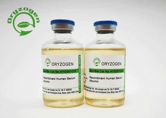 De recombinação Sativa do Oryza TEM o líquido para o embrião Cryopreservation