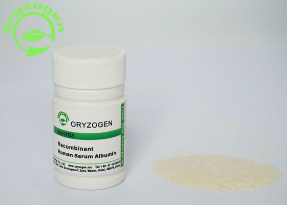 O Oryza OsrHSA Sativa liofilizou o pó ISO9001 habilitado