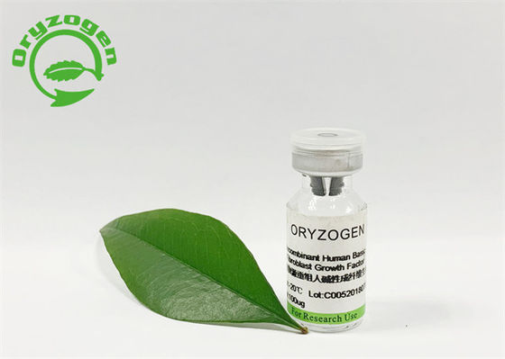 O Oryza insípido FGF básico Sativa da pureza de 95% liofilizou o pó
