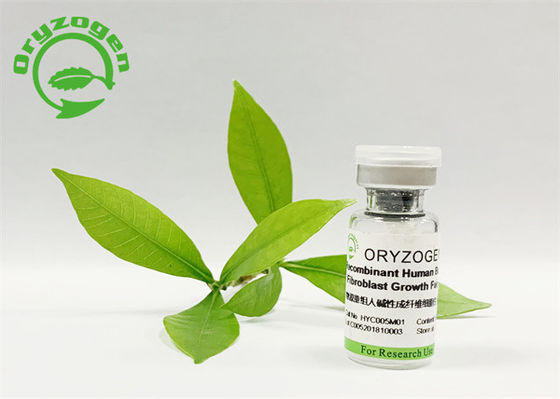 Animal básico livre do fator de crescimento do fibroblasto da fragrância livre para cosméticos