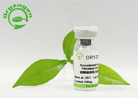 Pó liofilizado alto do fator de crescimento do bFGF da bioatividade da pureza de 95%