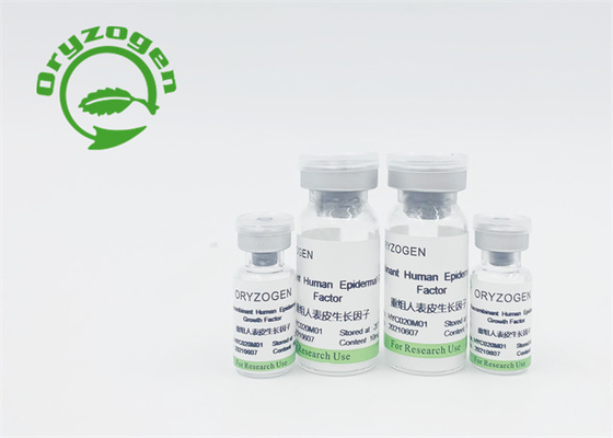Fator de crescimento de recombinação livre componente animal EGF