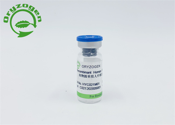 Fibronectin derivado planta FN para promover o metabolismo da célula epitelial