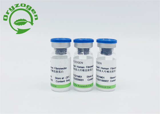A planta ISO9001 derivou Fibronectin humano de recombinação