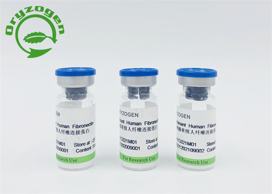 Componente animal Fibronectin humano de recombinação livre CAS 86088-83-7