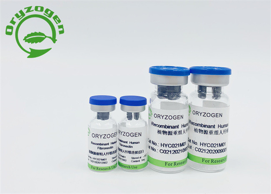 O Oryza Fibronectin humano de recombinação Sativa liofilizou o pó