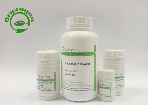 Protease de recombinação K de 95% Purty para a detecção dos anticorpos monoclonais