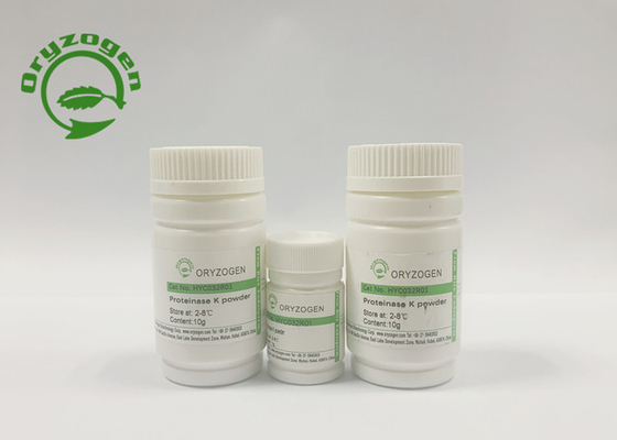 Protease de recombinação K da atividade de maior de 30 U/Mg para o teste novo de Coronavirus