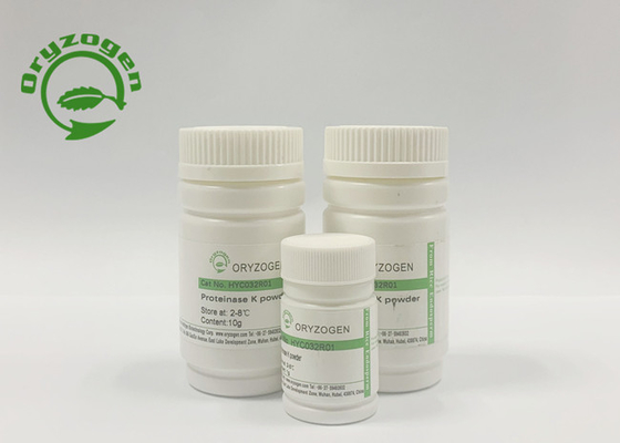 80kg/month protease de recombinação K para a extração do RNA