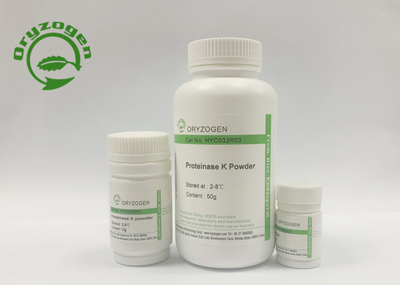 Protease de recombinação K da atividade específica de maior de 40 U/MgP para a extração do ADN